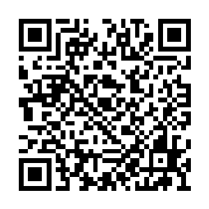 前去拿人的人思量再三也不敢亲自去定王府抓人二维码生成