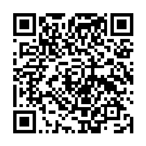 前台小哥就带着我们三位进入库房选取八品以下的道器二维码生成