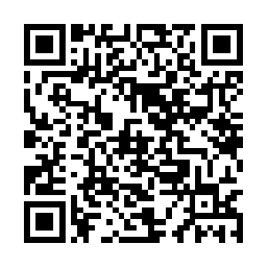 前后两条沿着山谷外布置的之字形战壕已经挖好了二维码生成