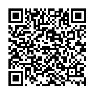 前后两部皮卡车一下就停在风景如画的海岸边密林边了二维码生成