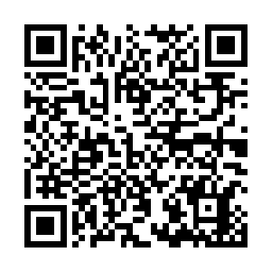 前后左右都有几十头好似雷龙般的巨型魔兽拖曳和推动二维码生成