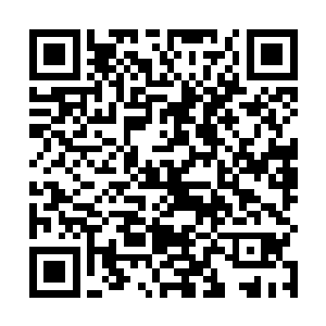 前天我家大人又带着我们去振武营等营送了一百多包药二维码生成