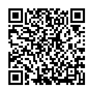 前头小博文和秀红秀兰也都抓着一小袋的麦子在点种二维码生成