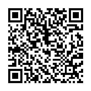 前巴西国家队主帅莱昂和卢森博格都受到了类似这样的调查二维码生成