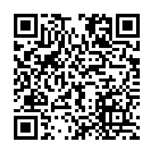 前年有个被老夫期望有朝一日能够成为殿阁重臣的学生二维码生成