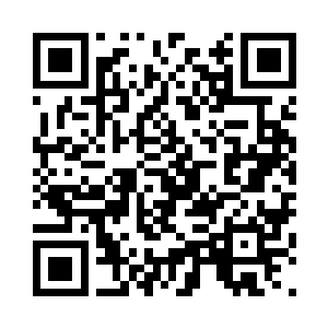 前往巴黎去跟牟晨菲会合的那架最新空客a330了二维码生成