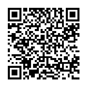 前往涛龙宗的旧址去营救那些仍被困在那里的涛龙宗弟子二维码生成