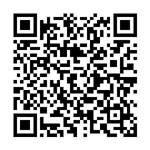 前排的一个女生恨铁不成钢的转过头来对着天道尖叫着二维码生成