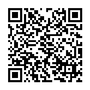 前方一小片紫竹被这无孔不入的白雾打的齐齐趴倒二维码生成