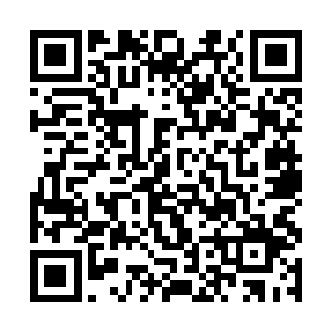 前方三千米一群八阶灵兽烈焰魔雕挡住了众人的去路二维码生成