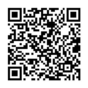 前方灯火通明的藏宝库已经彻底呈现在了二人的眼前二维码生成