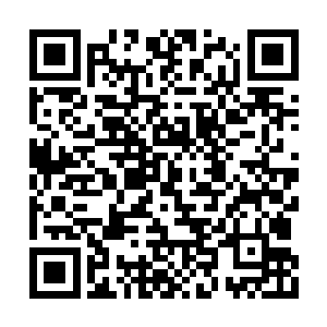 前方的云朵儿和严律师已经拐向了去四楼的楼梯二维码生成