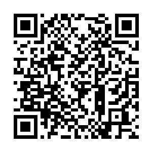 前方被打折的几株紫竹竟被这烈火一般的拳意点燃二维码生成