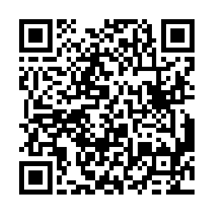 前期这么大的声势已经将所有人的好奇心都激起来了二维码生成