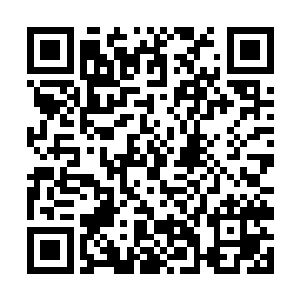 前来恭贺的宾客里还有不少是沉湎在酒肉渔色中的人二维码生成