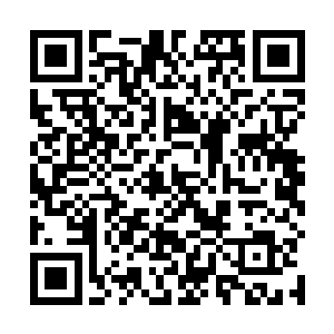 前来探望老上司的苗毅和碧月夫人对坐在后花园中长谈二维码生成