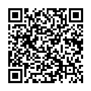 前来观礼的客人以及万星宗的不少弟子都坚持不住二维码生成