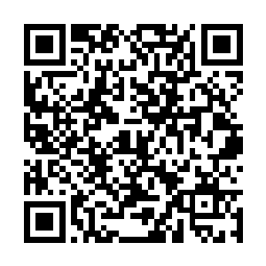 前来送行的官员和嫔妃也都规规矩矩的站在了两边二维码生成