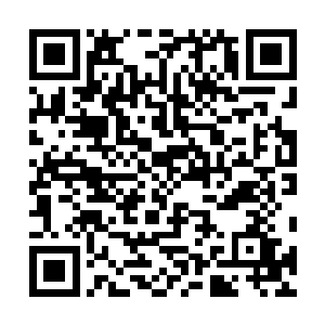 前段时间苏落还抽空去谭公谭婆那里看了看北辰影和紫妍二维码生成