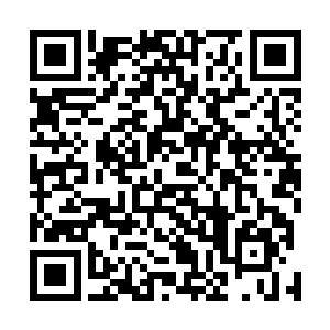 前段时间邵玄一直以为它是因为双眼出问题才抬爪子蹭的二维码生成