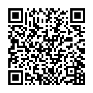前百名的学员要自己前往各院的百事堂分部领悟奖励二维码生成