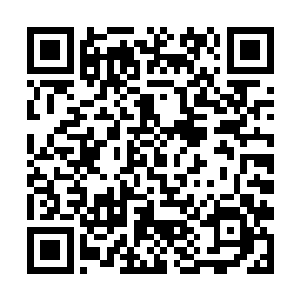 前省委书记秘书的身份在岭西省内就显得独特而敏感二维码生成