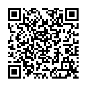 前线的战友与后方的预备人员似乎都在短短片刻间做出了反应二维码生成