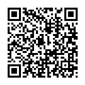 前者对身为仙迹成员且与天尊关系不错的自己而言二维码生成