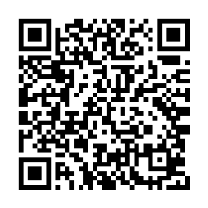 前辈也不会先过问千杳大帝与绫夙仙子的事情了二维码生成