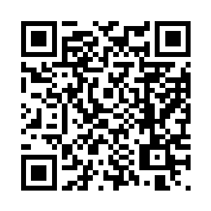 前辈是来自我们星光组织的星空分支二维码生成