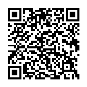 前辈这次在下界训练出如此雄壮的一支战魔军团二维码生成