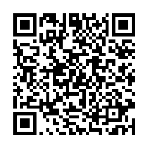 前边不知道该干吗的那个汉子已经惨叫一声也死掉了二维码生成