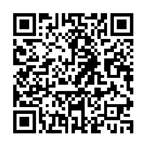 前边的那一地的碎尸块就是那些不知道天高地厚的修真者所留二维码生成