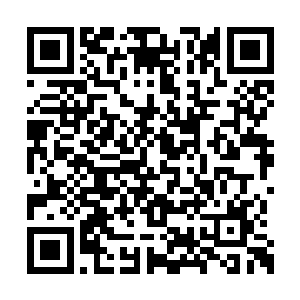 前边霍君白召出的这些阻碍被它纷纷的斩为齑粉二维码生成