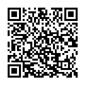 前面五个傀儡人偶都已经治愈恢复到了正常状态二维码生成