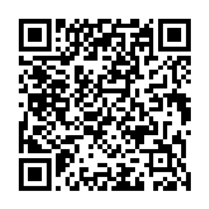 前面带头的徐凌已经率领烛龙殿的弟子抢先进入到了巨洞二维码生成