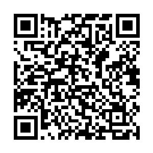 前面率先飞行的一群世家的头目都出现在了我们眼前二维码生成