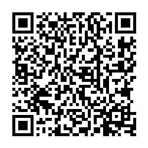 前面的道医所有的注意力都放在了裁判所中间地带正在接受晋级考核的叶灿身上二维码生成