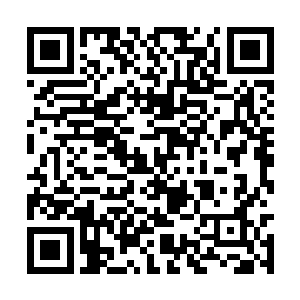 前面那些敢死队员前进的速度比乌龟爬快不了多少二维码生成