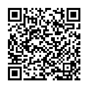 前面飞车上的仙舍金仙也立即派了白衣侍从往回走二维码生成