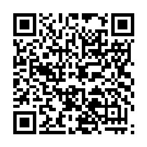 剑之大殿天品区只有试炼冠军和宗主才可以进入感悟二维码生成