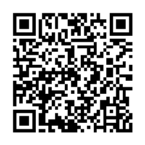 剑之领域和势能立场和三个人的领域碰在了一起二维码生成