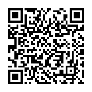 剑光在以楚暮为中心的两百米范围内飞射疾掠变幻二维码生成