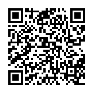 剑尊十强者之一的小楼剑尊娄小楼对阵另外一个极限剑尊二维码生成