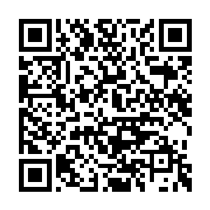 剑尘一眼就看出这名老者是无极始境九重天强者二维码生成