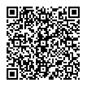 剑尘一行九人外加一只上古神兽天翼神虎通过空间之门气势汹汹的向着阎罗殿赶去二维码生成