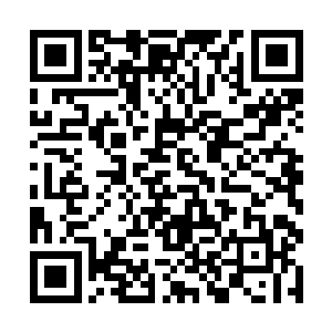 剑尘一边从紫青剑灵那里了解关于鬼仙教的更多信息二维码生成