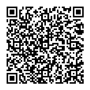 剑尘不在迟疑直接跳入了深坑之中双脚在坡形的地面上慢慢的向着底部滑行过去心中充满了警惕二维码生成