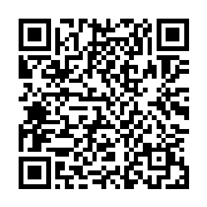 剑尘也不是沒有想过要收服三大执法长老以及四神将的想法二维码生成