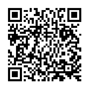 剑尘会不会发飙的带着三名兽族强者去他们守护家族大闹一场二维码生成